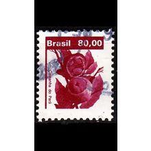 BRASILIEN BRAZIL [1984] MiNr 2048 ( O/used ) Pflanzen