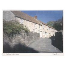 THE STREET, CHEW STOKE nr BRISTOL vintage postcard by St. Peter's Hospice =