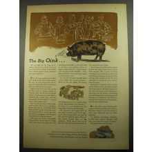 1956 Successful Farming Magazine Ad - The big Oink