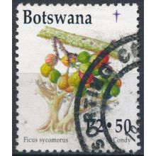 Christmas, Plants: 2.50p - Botswana 1998 - FH - SG 898