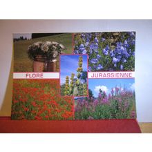 multiview of FLOWERS. French unused postcard dated 1991 #