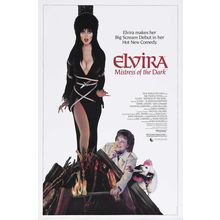 Elvira, Mistress of the Dark (1988)_0 Movie Film Poster Canvas iconic design