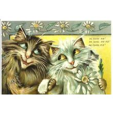 Art CATS IN LOVE Anthropomorphic Postcard (Mayfair 236)