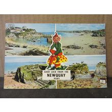 multiview, NEWQUAY, CORNWALL. used postcard. 1966 pm PISKY PLC217