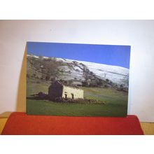 CAM PASTURES, WHARFEDALE, YORKSHIRE DALES unused postcard by David Green =