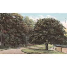 EC803 NORTHAMPTON - WEEDON ROAD FLORE . PRINTED POSTCARD