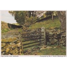 High Sweden Lane Ambleside Cumbria Womens Institute Postcard