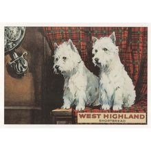 West Highland Shortbread Scotty Dog Biscuits Advertising Postcard
