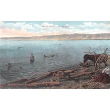 Das tote Meer. La mer Morte : a colour printed postcard