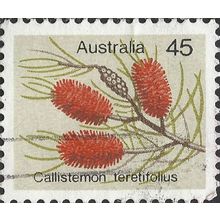 AUSTRALIA, FLOWER, Callistemon teretifolius, light brown 1975, 45c, #5