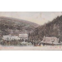 Glen Helen Gardens Isle Of Man 1905 Antique Aerial Postcard