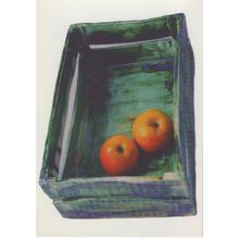 Willesden Art Painting Geraldine Hallett Ceramic Fruit Crate Exhibition Postcard