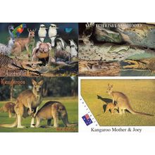 Crocodiles in Australia Wildlife Kangaroos 4x Australian Postcard s