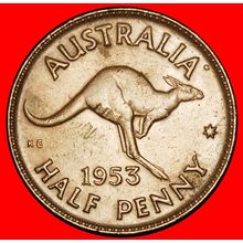 Ⰶ KANGAROO RIGHT (1953-1955): AUSTRALIA ★ 1/2 PENNY 1953! ★LOW START★NO RESERVE