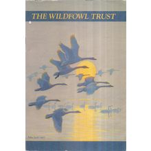 THE WILDFOWL TRUST guide 1985 edition ducks geese etc birds #