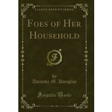 Foes of Her Household (Classic Reprint)