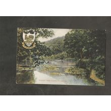 Postcard Devon Tiverton Fairby Fish Ponds 1908