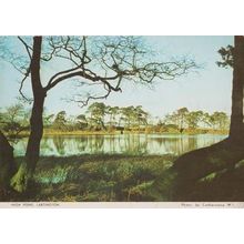 High Pond River Lake Lartington Durham Rare Womens Institute Photo Postcard