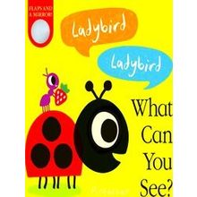 What Can You See? Ladybird! Ladybird! What Can You See