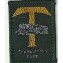 Scout Badge UK- Thamesdown East - Hessian Back (BY177)