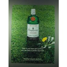 1989 Tanqueray Gin Ad - Even if your lawn isn't perfect