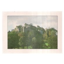 DUNSTER CASTLE, SOMERSET unused vintage postcard =