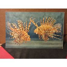 TWO LIONFISH unused postcard AQUARIUM de MONACO tropical fish