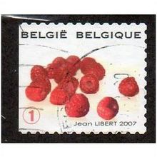 BEL 2007 (52c)(S/A) 'FRUIT- RASPBERRIES' FINE USED (EBID10405)