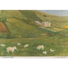 Sheep Grazing Fields Shenley Herts Hertfordshire Womens Institute Postcard