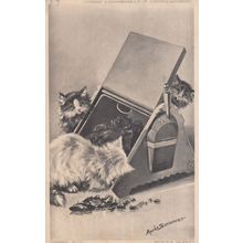 Cats & Toolbox Kitten Old Cat Shovel Spade Exploration Postcard