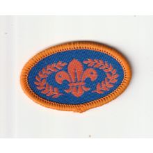 Scout Badge - Chief Scout Bronze Award - 2000's - Black Back (PFO)