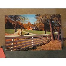 HORSES, NAUBINWAY, MICHIGAN, USA. unused postcard =