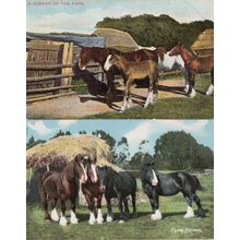 A Corner of the Farm& Horses E. S. No 1457 2x Old Postcard