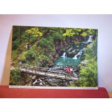 WATERSMEET, LYNMOUTH, DEVON used postcard by John Hinde 1982 pm =