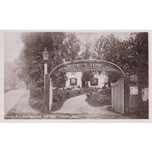 Ruislip Middlesex Poplars Cafe Restaurant Entrance Sign Vintage Postcard