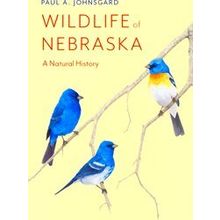 Wildlife Of Nebraska