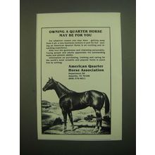 1980 American Quarter Horse Association Ad - May Be For You