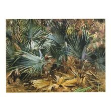 John Singer Sargent Palmettos Tate Gallery Painting Postcard