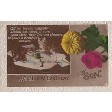Cats Spill Spilled Ink All Over Card Antique Real Photo Sons Birthday Postcard