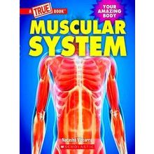 A True Book (Relaunch): Muscular System (A True Book: Your Amazing Body)