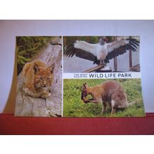 multiview, CRICKET ST. THOMAS WILD LIFE PARK, Chard, SOMERSET postcard 1980 pm #