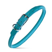 Dog Pet Round Leather Collar W3/8" - L16"-19", Teal