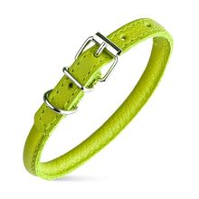 Dog Pet Round Leather Collar W1/4" - L8"-10", Green