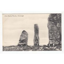 Old Harry Rocks Swanage Postcard Dorset JV
