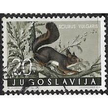 1960 Michel 918 - fine used (o) - ANIMAL