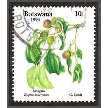 1994 Christmas - Edible Fruits 10t Fine Used C1