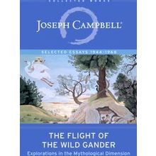 The Flight Of The Wild Gander