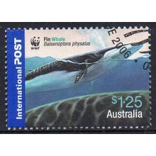 Australia 2006 WWF Whales - Fin Whale $1.25 International Post Sheet ex FDC