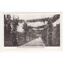 The Rose Pergola near the Rock Garden Kew Gardens Postcard 2K11