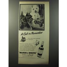 1953 Black & White Scotch Ad - A call to remember